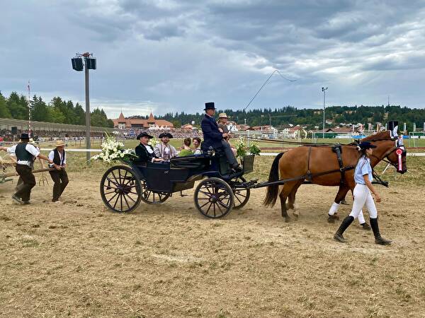 Umzug am Marché Concours