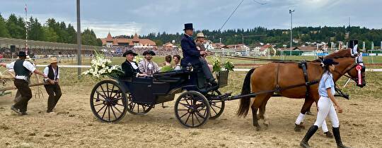 Umzug am Marché Concours