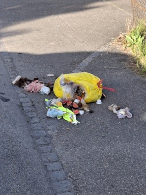 aufgerissener Kehrichtsack