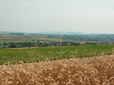 Aussicht vom Höriberg