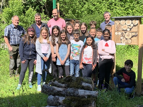 Wildbienenklasse