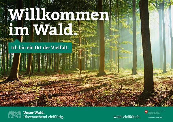 Wald