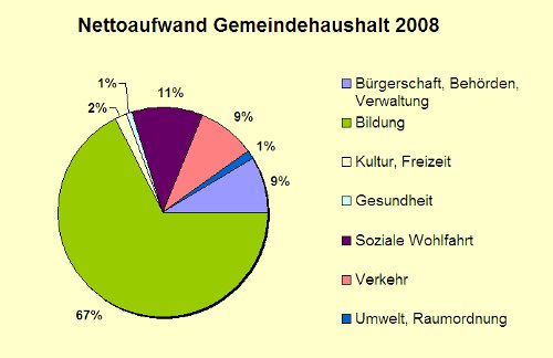 Grafik Nettoaufwand Gemeindehaushalt 2008