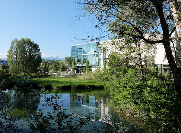 Moosweiher, Abtwil
