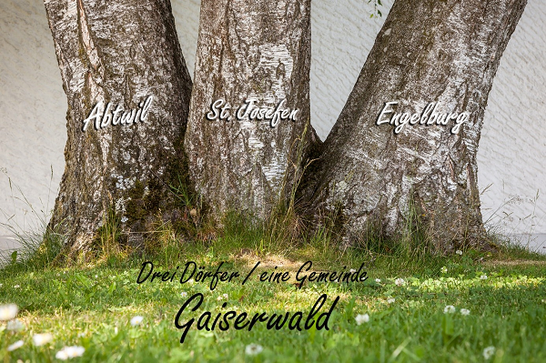 drei Baumstämme beschriftet mit Abtwil, St.Josefen, Engelburg