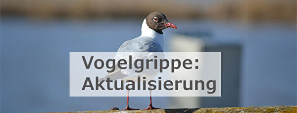 Vogelgrippe