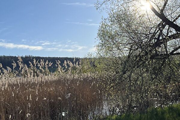 Fällanden See