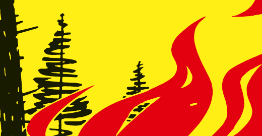Feuerverbot im Wald und in Waldesnähe