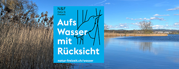 Greifensee