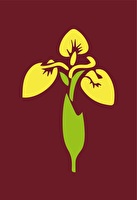 Pfadi Wildert