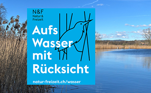 Greifensee