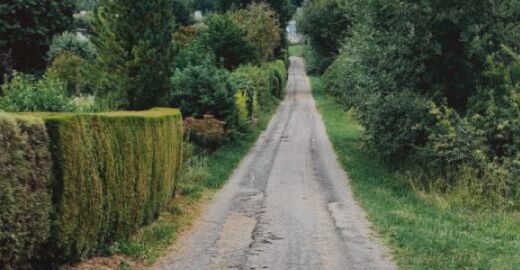 Buechwisweg