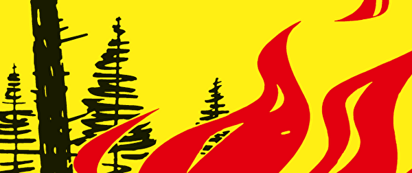Feuerverbot im Wald und in Waldesnähe