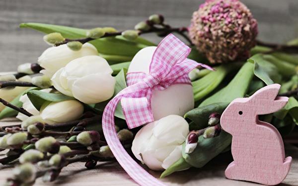 Tulpen