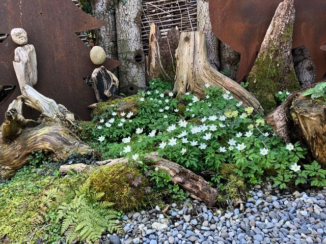 garten 3.jpg