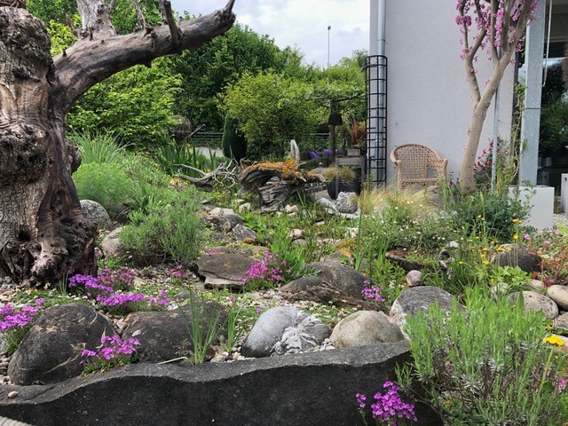garten 2.jpg