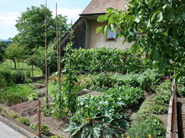 Bauernhausgarten