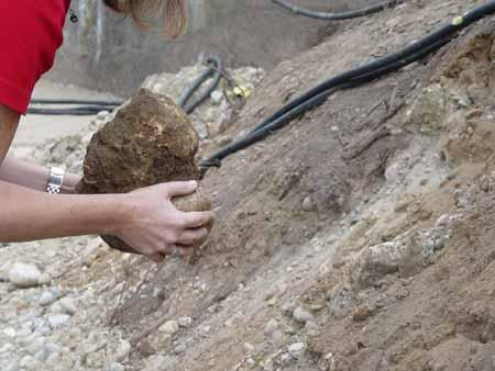 Das Schädelfragment wird von der Kantonsarchäologie in Solothurn untersucht.