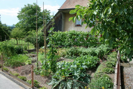 Bauernhausgarten