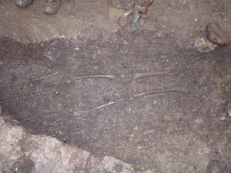 15. Oktober 2004: Auch das unterste Skelett ist hier nun freigelegt zu sehen. Von allen drei angeschnittenen Skeletten ist es das am vollständigsten erhaltene mit beiden Beinen und Händen sowie einem grösseren Teil des Brustkorbes. Wir sehen hier, so meine ich, die Überreste von Wolfwilern aus einer langen Bestattungsperiode des Mittelalters in einem Friedhof, der bestimmt ein noch älteres Vorgängerkirchlein in sich eingeschlossen haben musste.