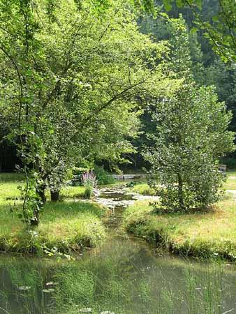 Ein Wasserlauf verbindet die einzelnen Weiher.