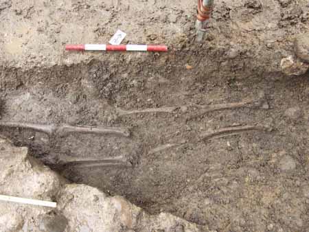 15. Oktober 2004: Vom mittleren Skelett (l k.) sind nur noch die Beinknochen erhalten. Die verschobene Lage deutet auf eine spätere Bestattung als jene der untersten Leiche hin, was auch für das oberste Skelett gilt.