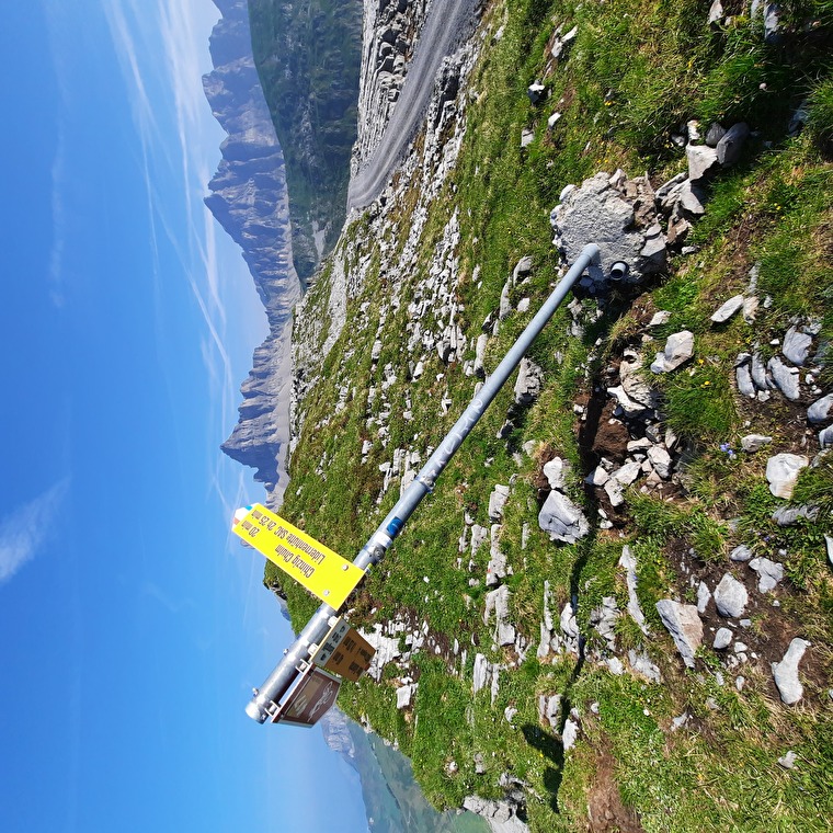 Wegweiser Geissgrätli