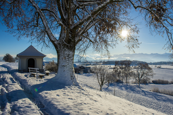 Bild Winterlandschaft
