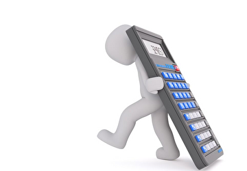 Männchen mit Rechner