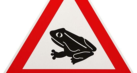 Schild Achtung Amphibien