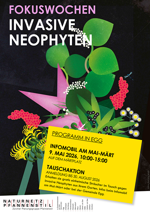 Plakat Fokuswochen