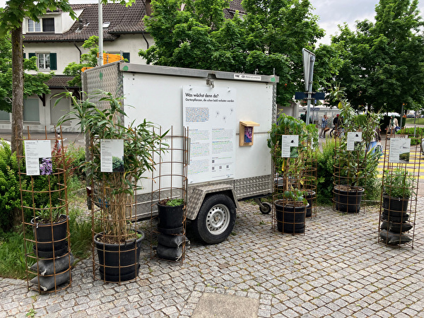 Ausstellung invasive Neophyten