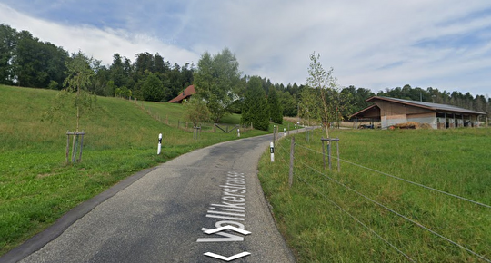 Vollikerstrasse 