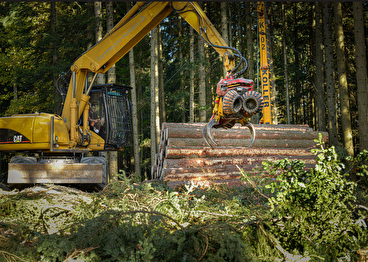 Schutzwaldpflege Hochbüchel, Korporation Untereggen