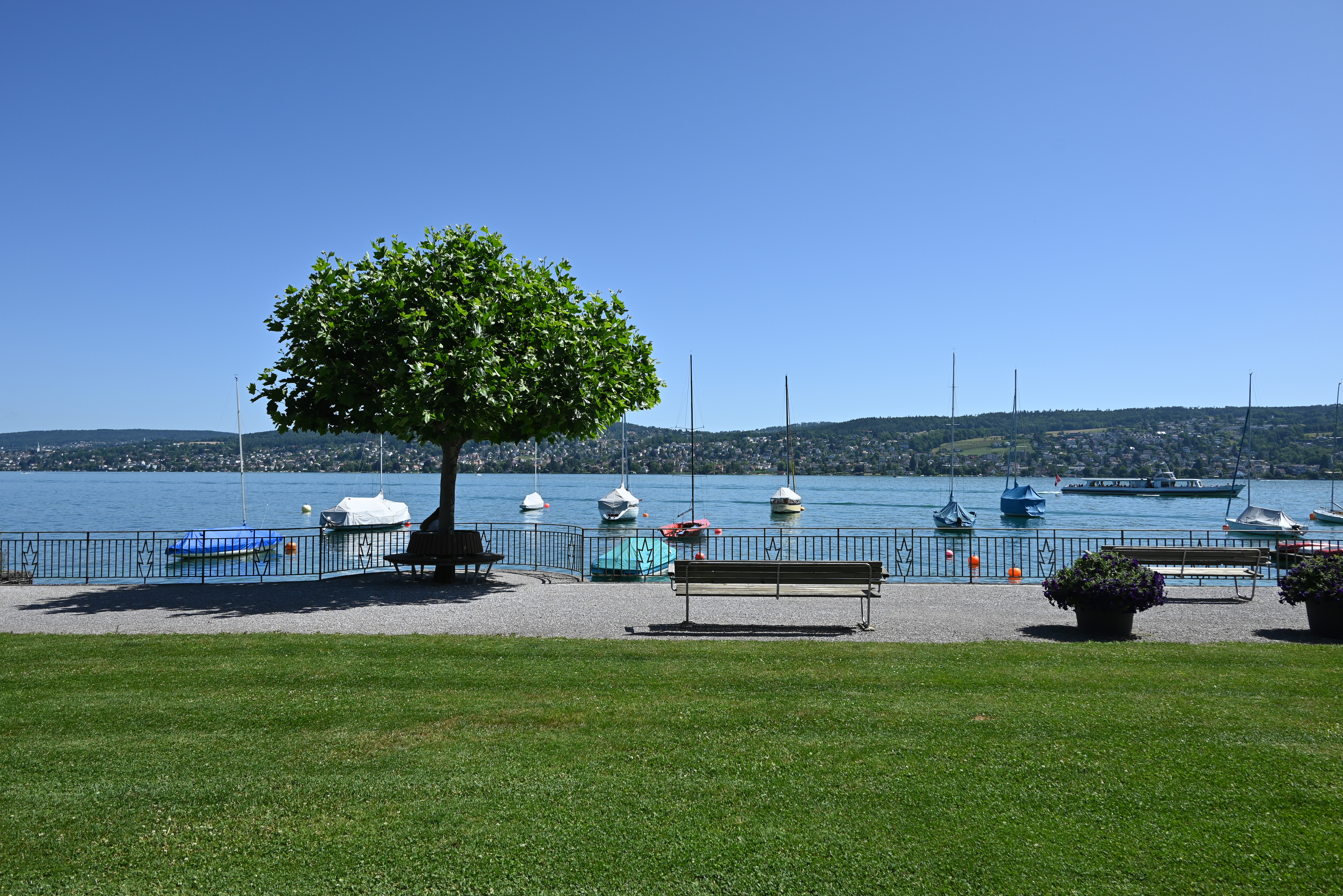 Seeanlage Ludretikon im Sommer 2022