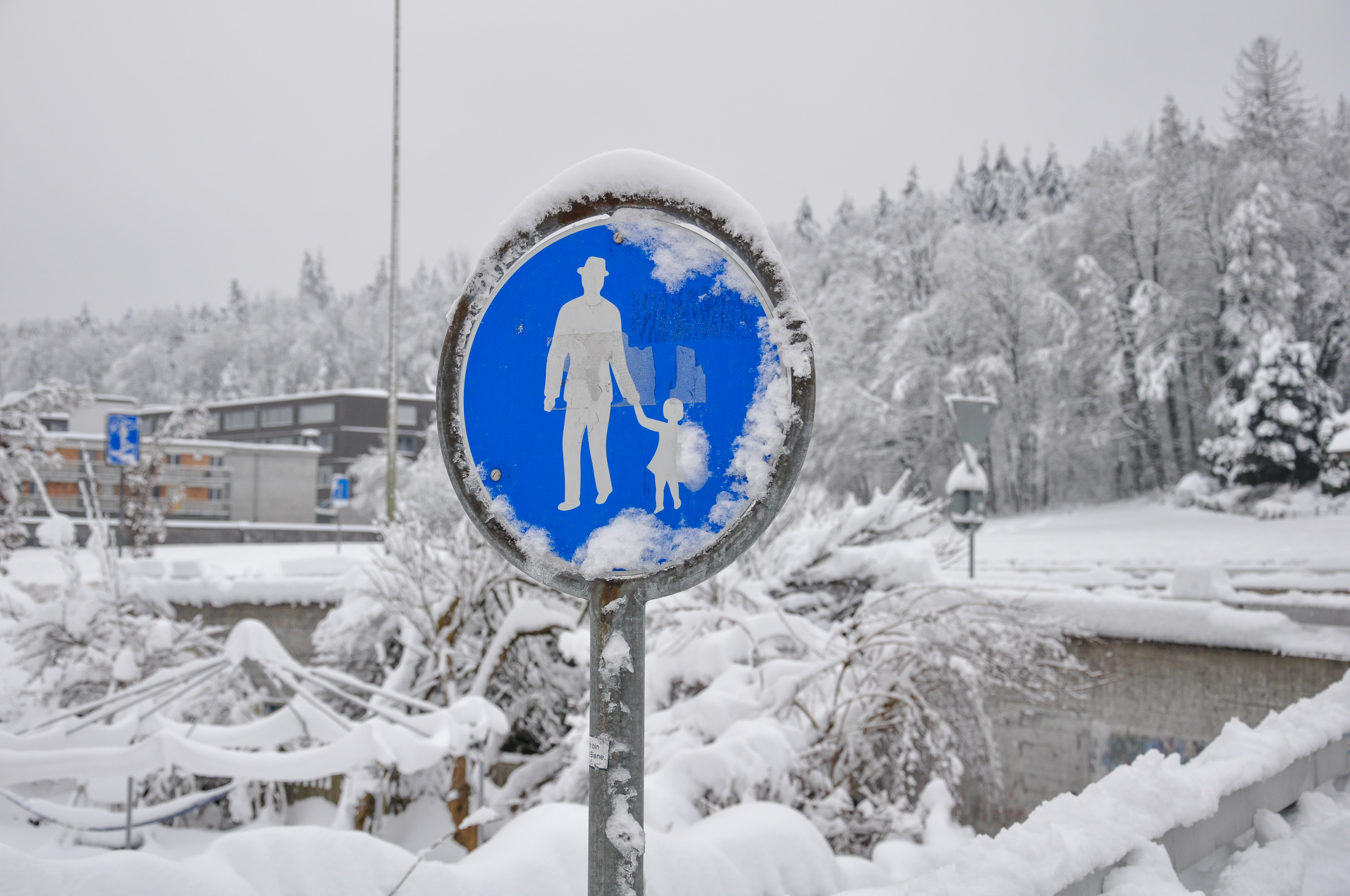 Vorschriftsignal 2.61, R1, Fussweg, im Winter