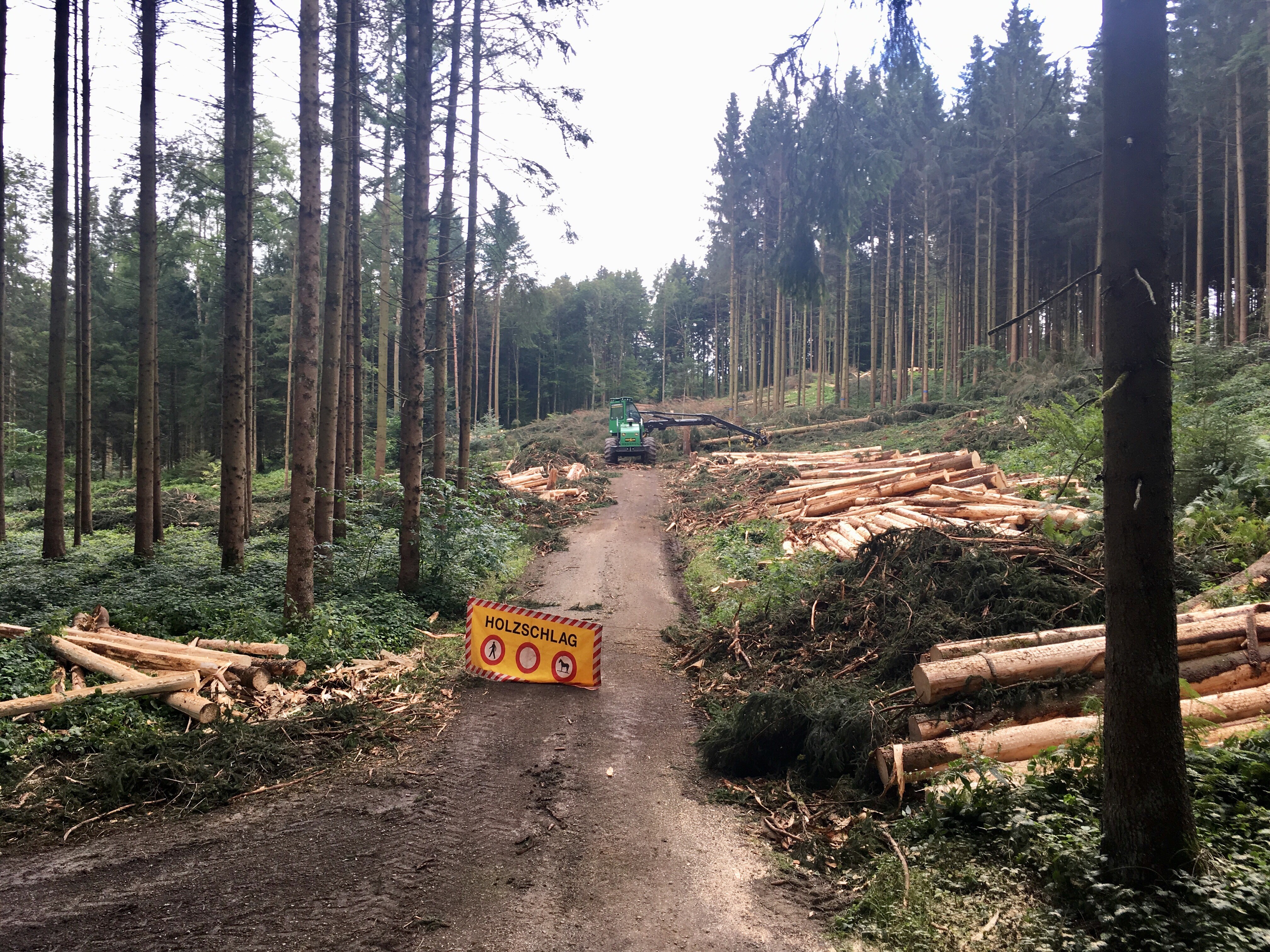 Borkenkäferbefall im 
Forstrevier Thalwil-Oberrieden-Langnau a.A.
