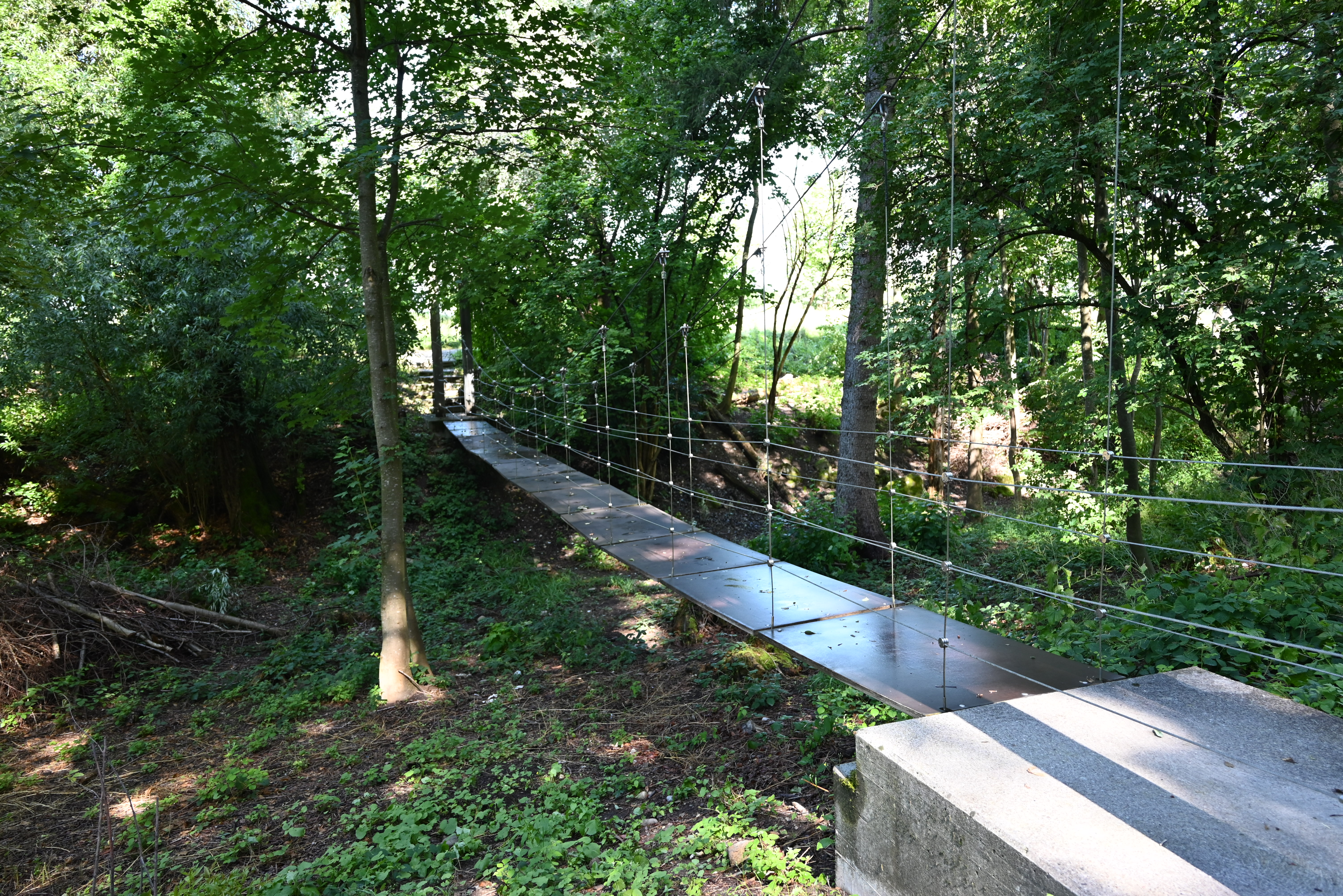 Hängebrücke Brand