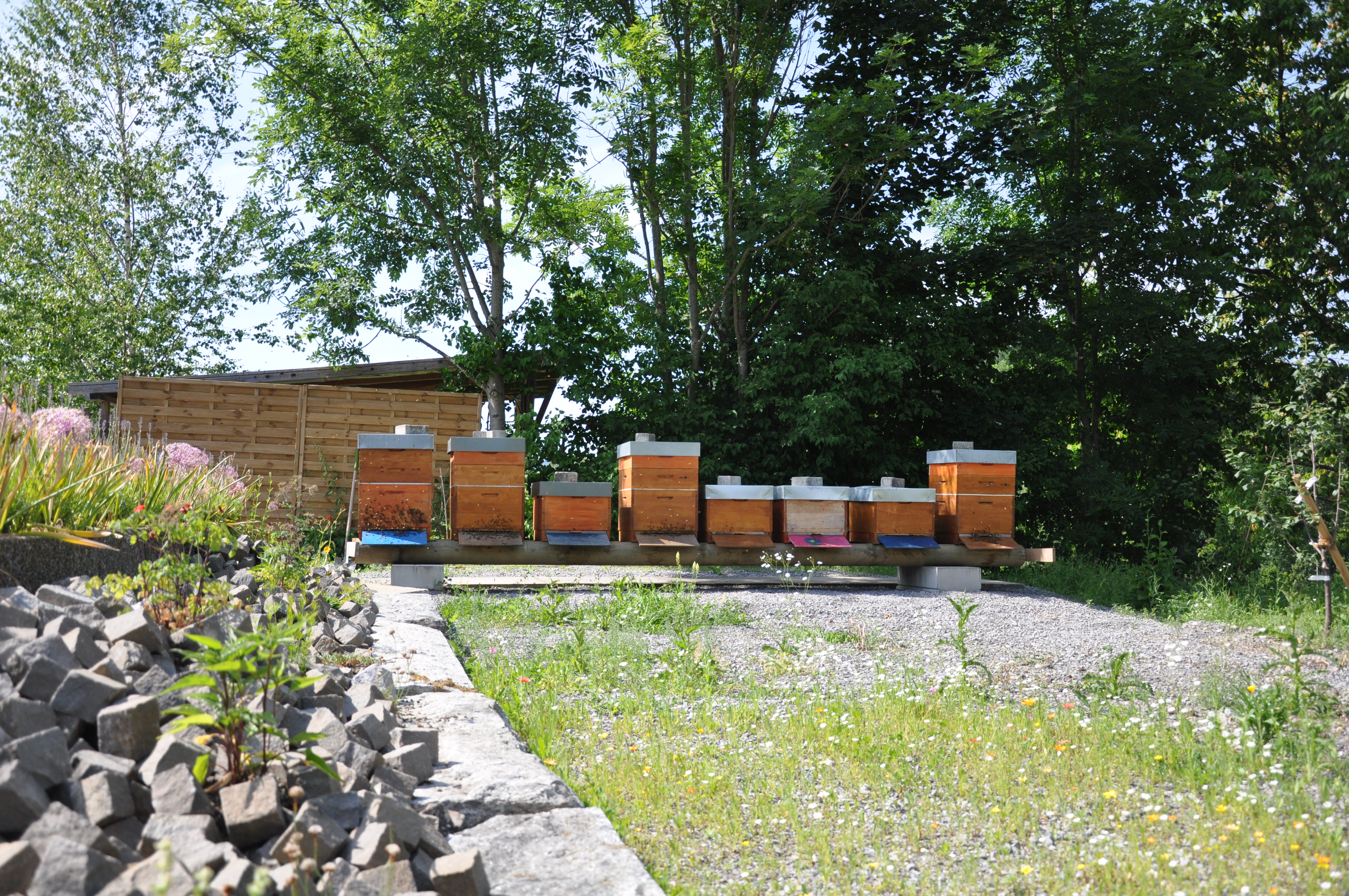 Insektengarten Im Wettinger, Lebensraum für verschiedenste Insekten
