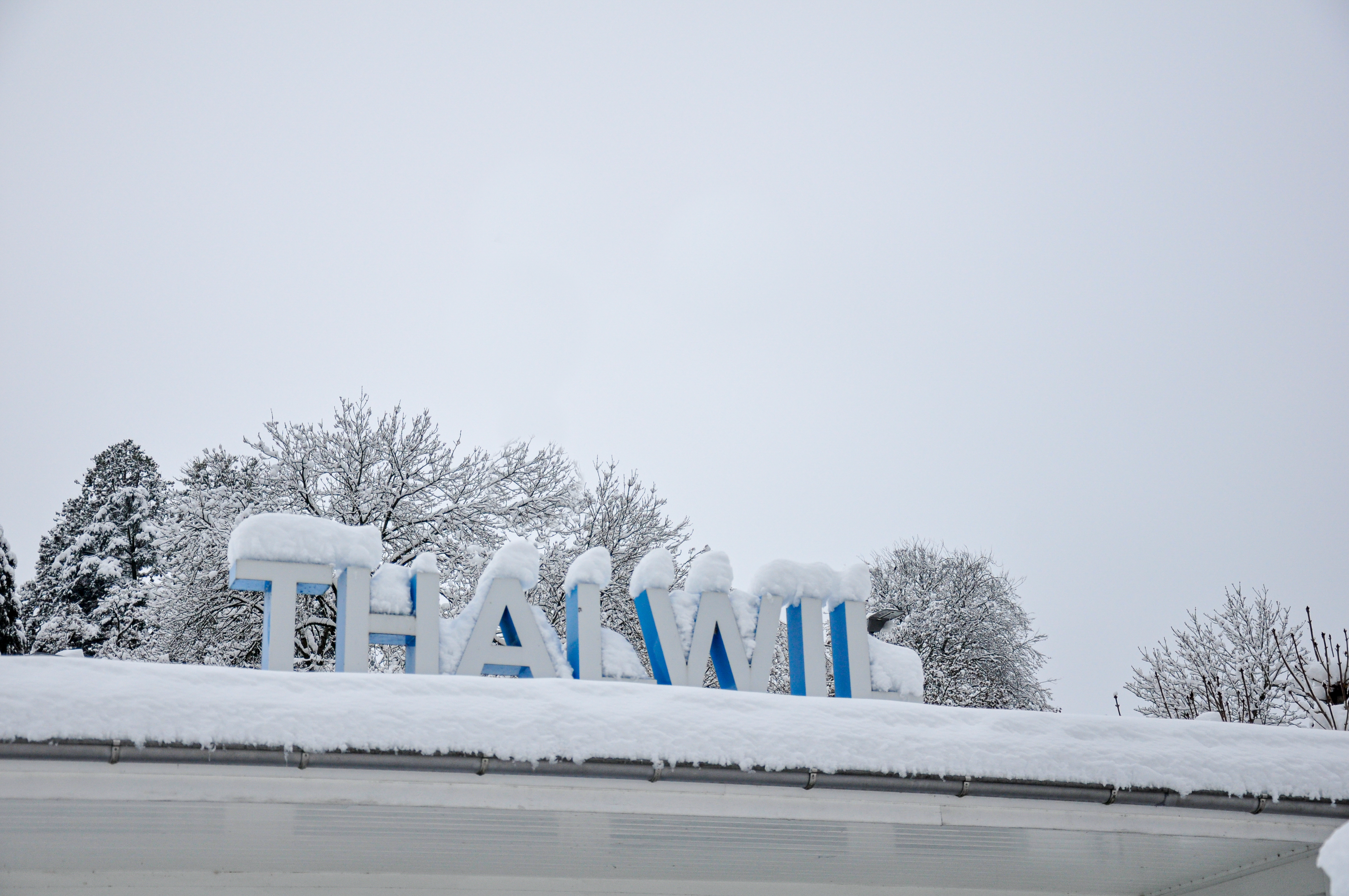 Beschriftung Thalwil am Seeufer im Winter