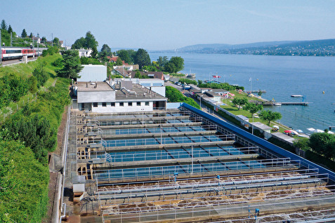 ARA Thalwil