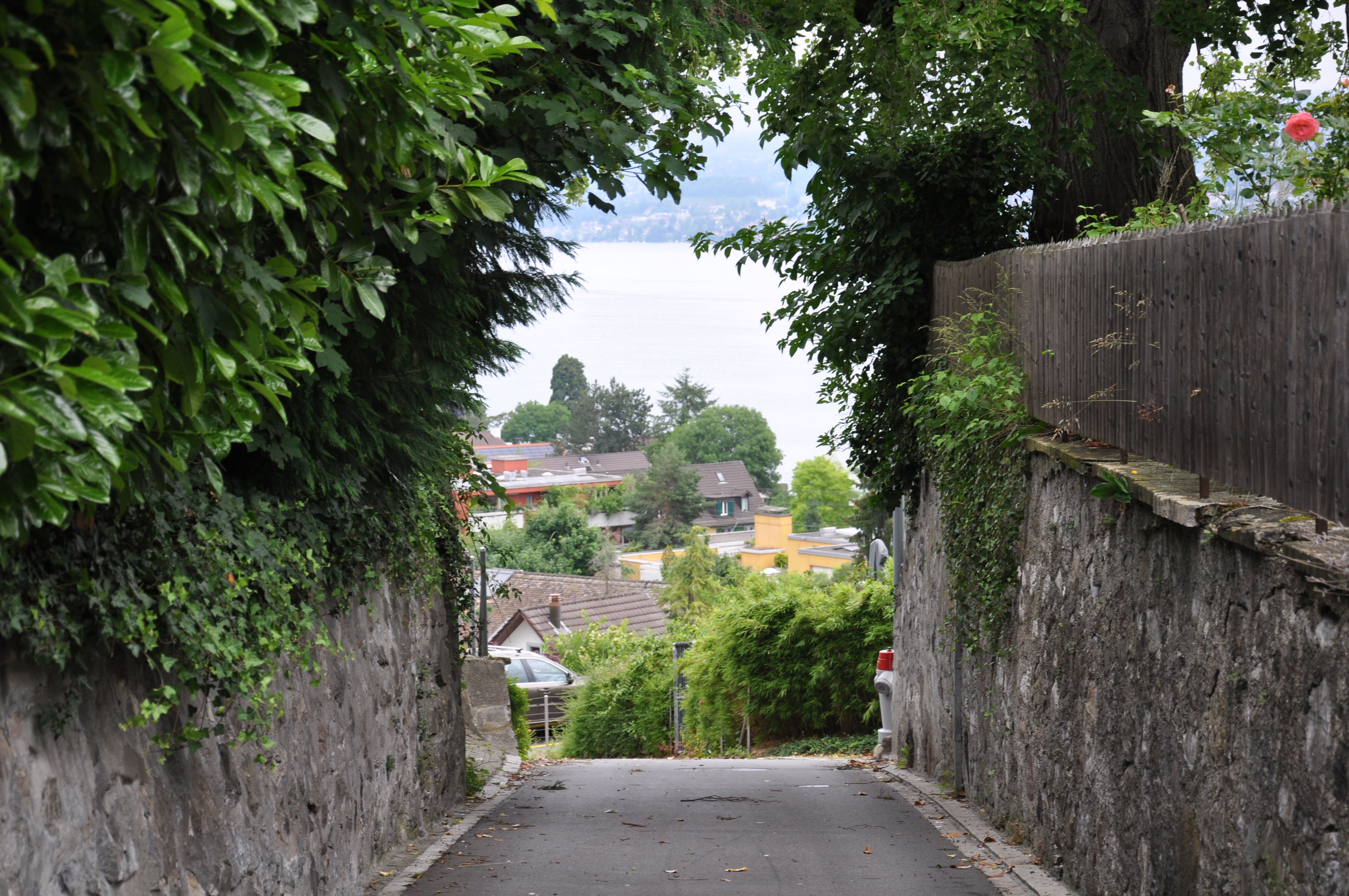 Thalwil im Sommer 2021