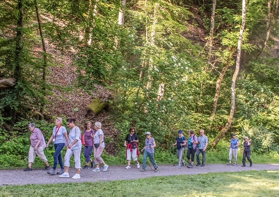 Gemeinsames Spazieren auf idyllischen Parcours rund um die Gemeinde, organisiert und geleitet von freiwilligen Helfern. (Sommer 2019)