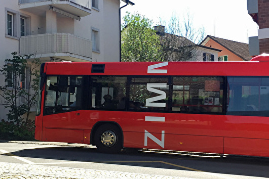 Zimmerbergbus