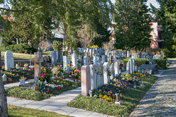 Friedhof Thalwil 