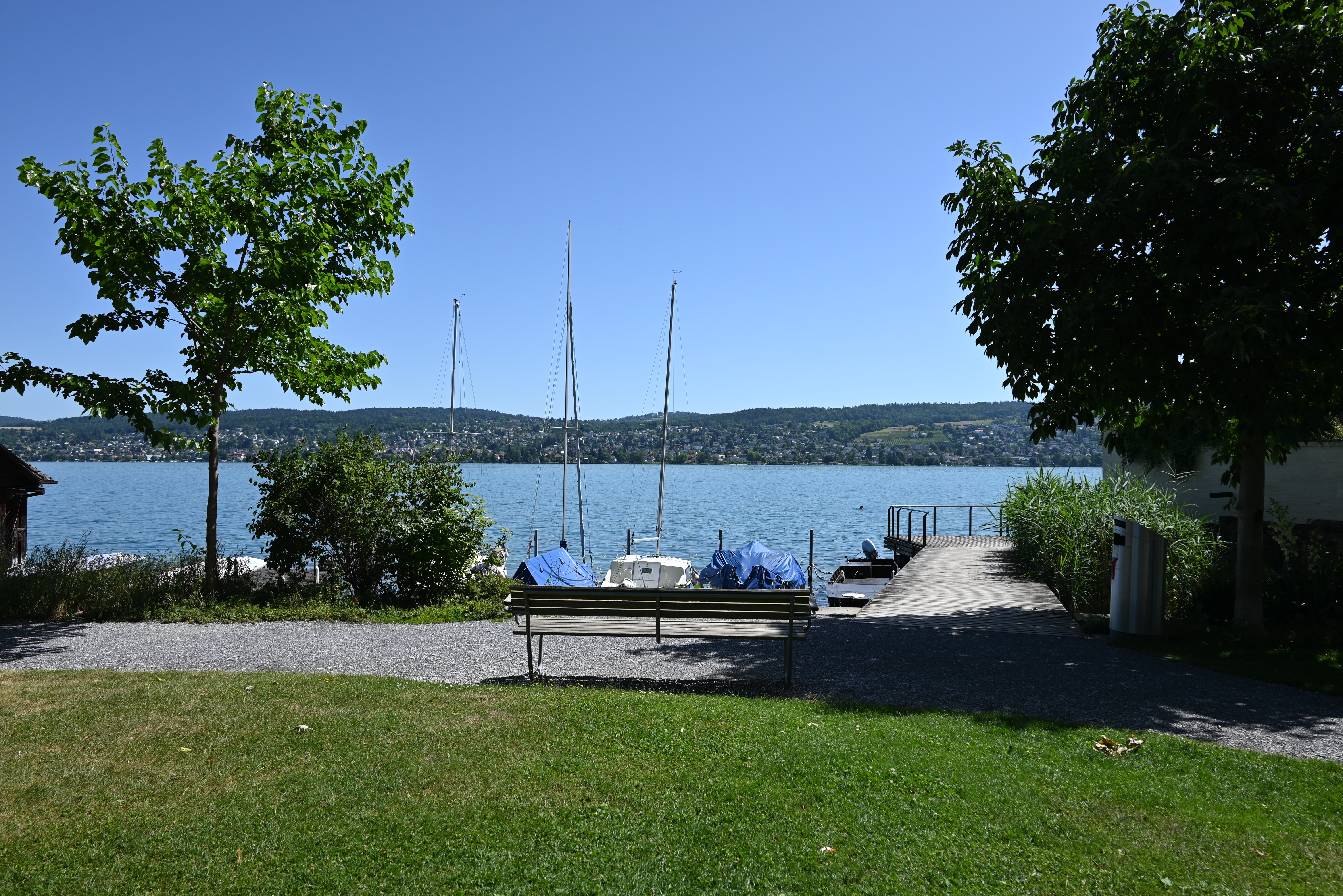 Seeanlage Marbach im Sommer 2022