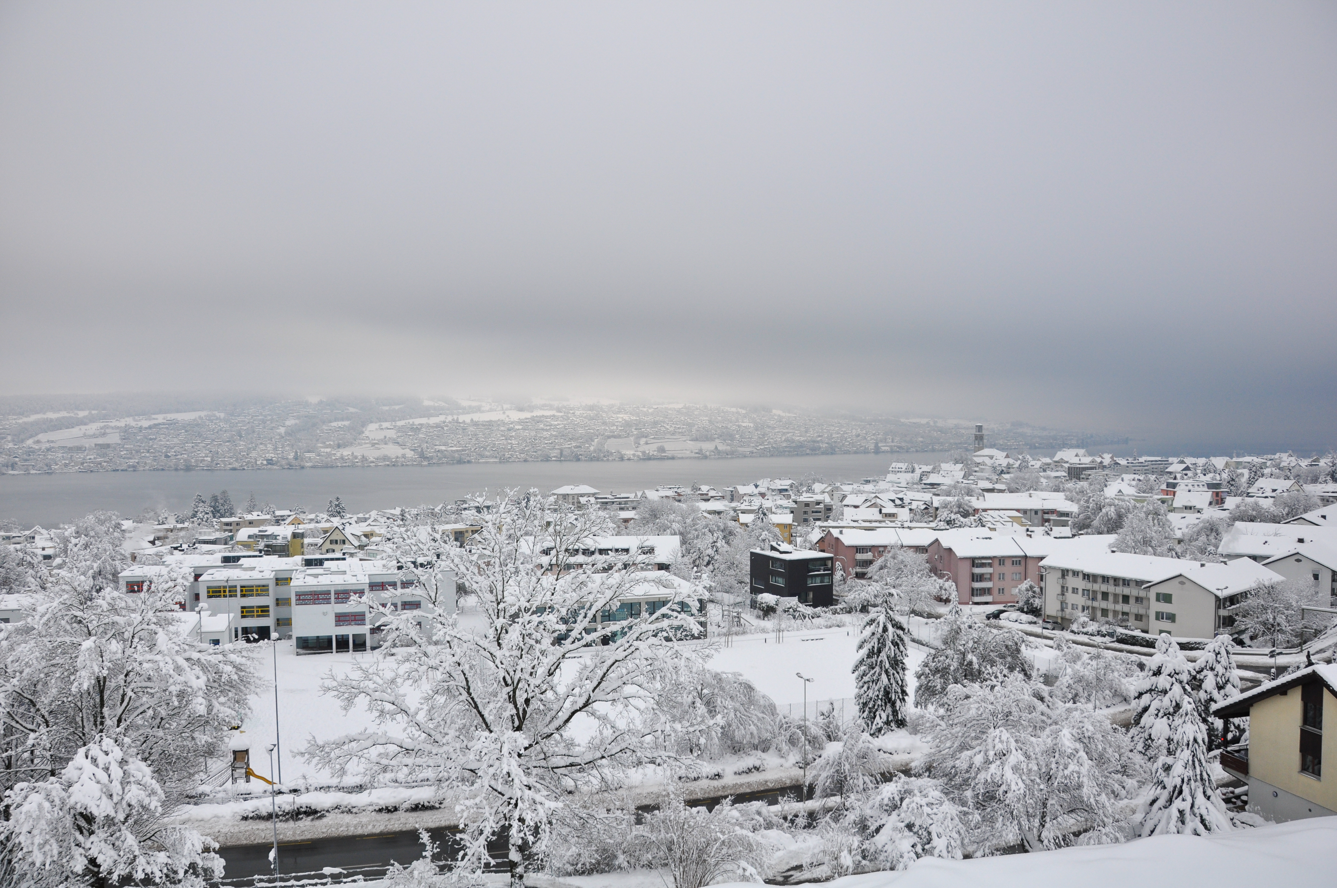 Thalwil im Winter 2021