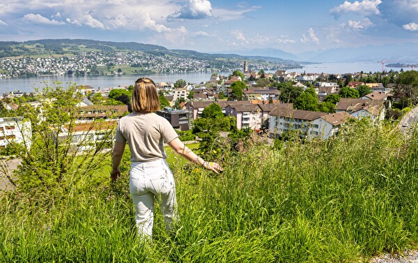 Aussicht vom Etzliberg auf Thalwil