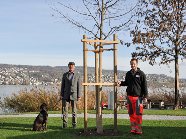 Verein Ökopolis sponsert Linde in der Seeanlage Gerbi 