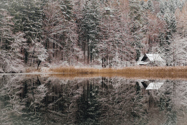 Winterstimmung am Waldweiher, Gattikon. (Shutterstock) 